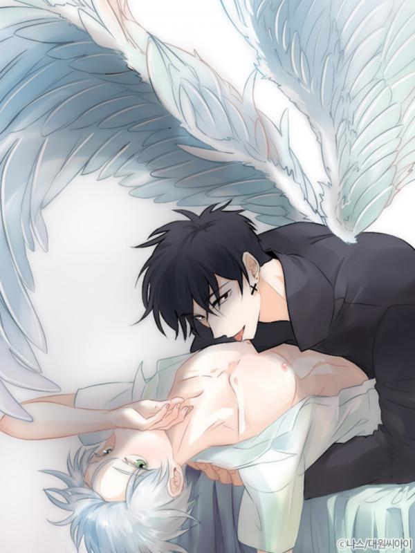 The Words of an Angel Who Came from the Heaven The Words of an Angel Who Came from the Heaven