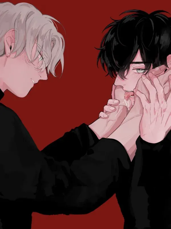 Red Limit Red Limit
