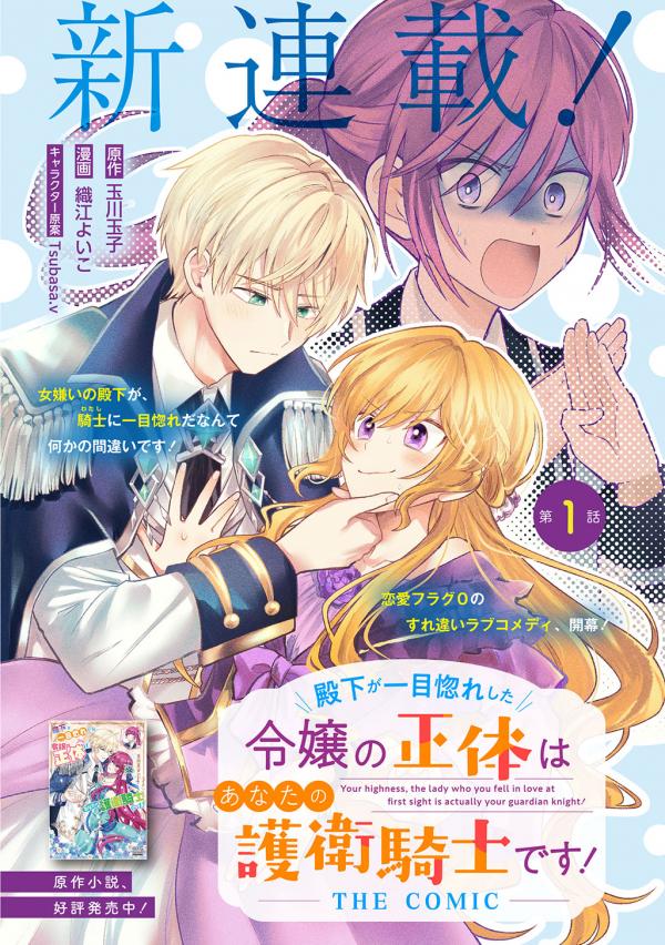 The young lady His Highness fell in love with at first sight is actually your guard knight! The young lady His Highness fell in love with at first sight is actually your guard knight!